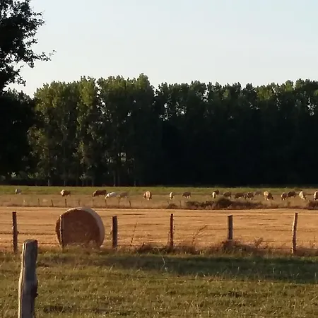 Maison De Charme Avec Piscine Et Grand Jardin, Pres D'ancenis - Ideal Pour Familles Et Balades - Fr-1-306-1151