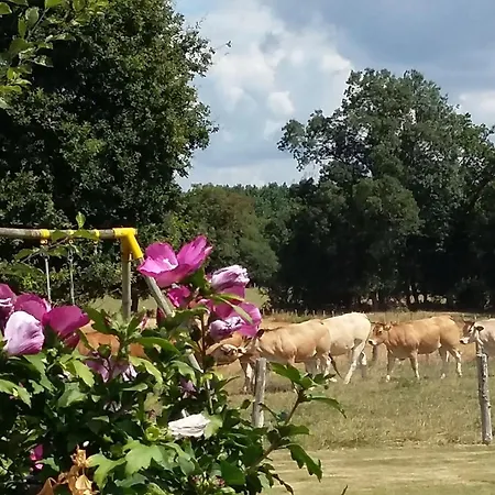 Holiday home Maison De Charme Avec Piscine Et Grand Jardin, Pres D'ancenis - Ideal Pour Familles Et Balades - Fr-1-306-1151 Bonnoeuvre