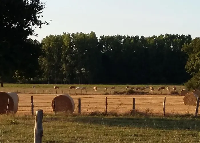Maison De Charme Avec Piscine Et Grand Jardin, Pres D'ancenis - Ideal Pour Familles Et Balades - Fr-1-306-1151
