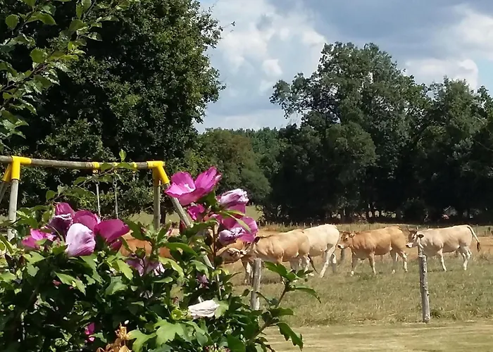 Дом отдыха Maison De Charme Avec Piscine Et Grand Jardin, Pres D'ancenis - Ideal Pour Familles Et Balades - Fr-1-306-1151 Bonnoeuvre
