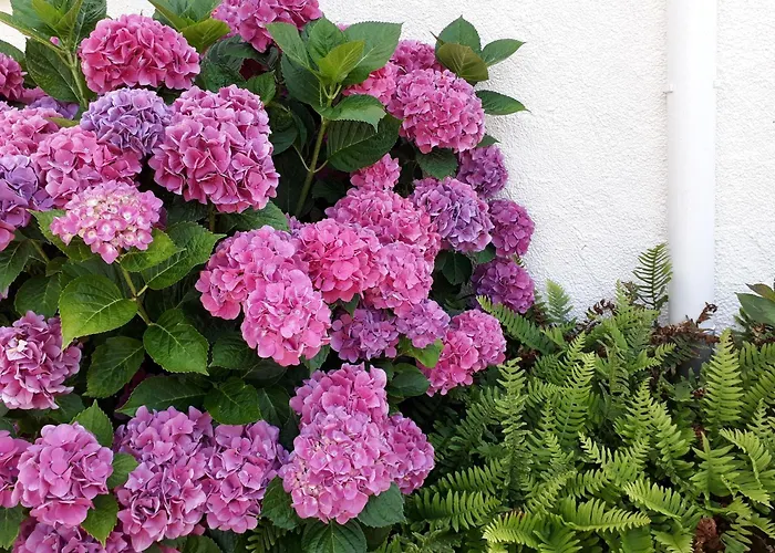 Дом отдыха Maison De Charme Avec Piscine Et Grand Jardin, Pres D'ancenis - Ideal Pour Familles Et Balades - Fr-1-306-1151 *